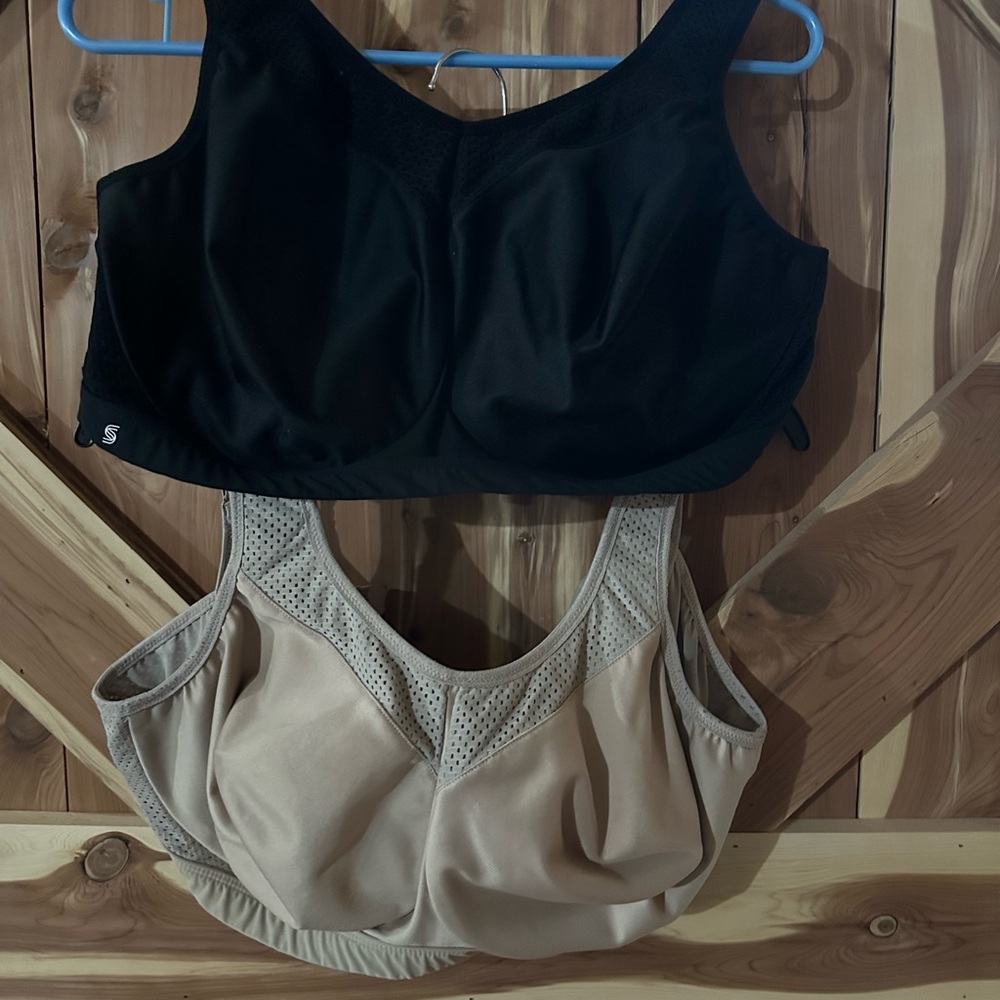 Glamorise sports bra 42F